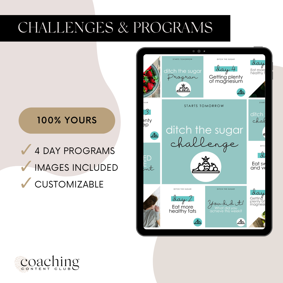 Challenges and Mini Programs