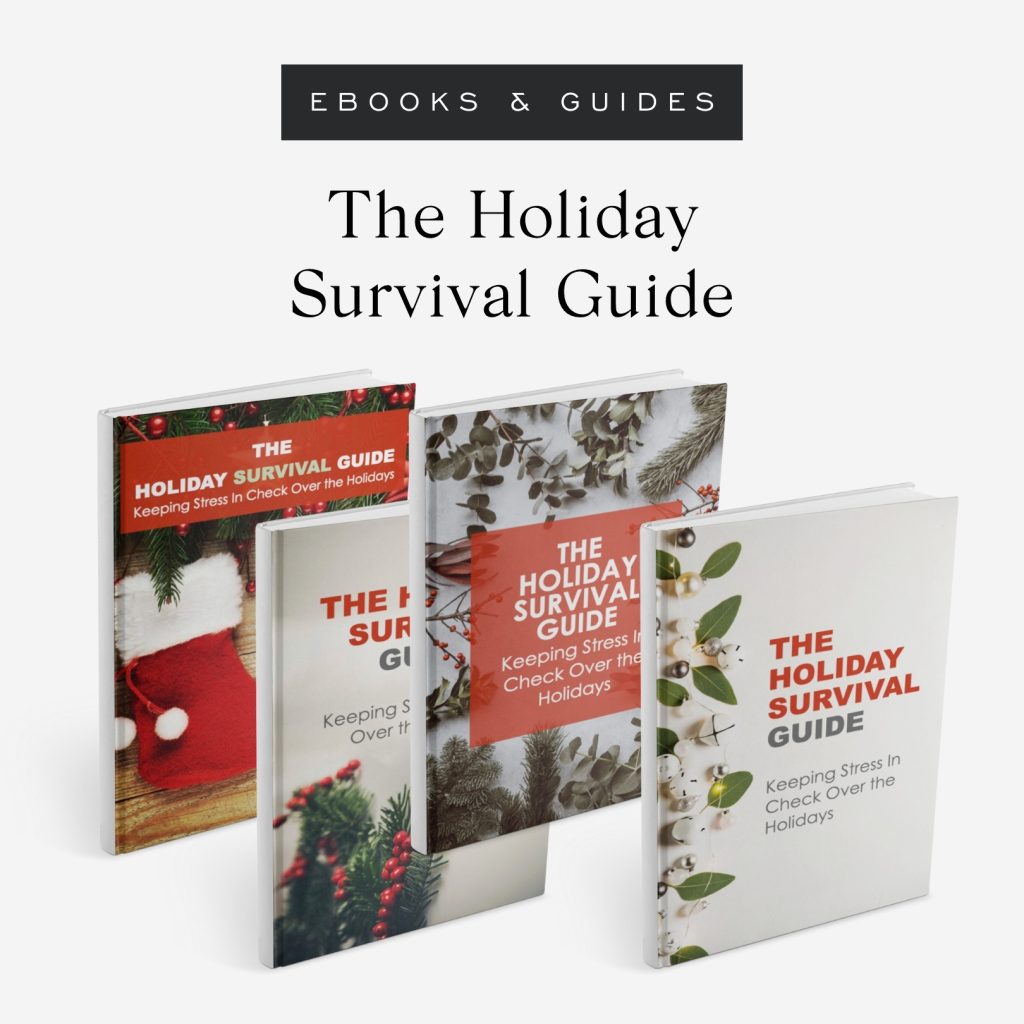 The Holiday Survival Guide (Website Image)